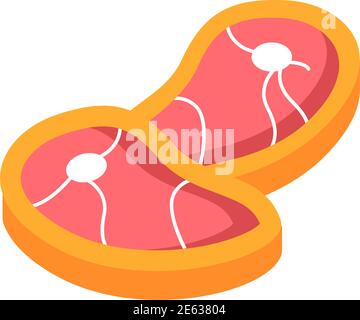 Meat vector flat color icon Stock Vector