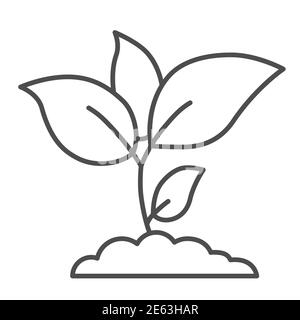 Plant sprouts thin line icon, agriculture concept, Young growth with leaves sign on white background, seedling icon in outline style for mobile Stock Vector