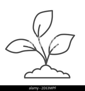 Garden seedlings grows in a ground thin line icon, nature concept, Plant sprouts sign on white background, Young growth with leaves icon in outline Stock Vector