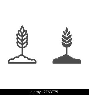 Wheat spikelet line and solid icon, organic concept, Spica sign on white background, Wheat ear icon in outline style for mobile concept and web design Stock Vector