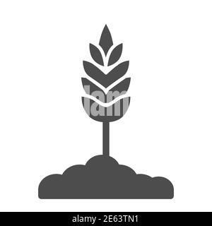 Wheat spikelet solid icon, organic concept, Spica sign on white background, Wheat ear icon in glyph style for mobile concept and web design. Vector Stock Vector