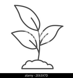 Plant sprouts with three leaves thin line icon, Gardening concept, Young growth sign on white background, plant growing in soil icon in outline style Stock Vector