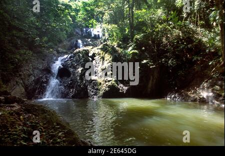 Tobago Argyll Falls Waterfall Stock Photo