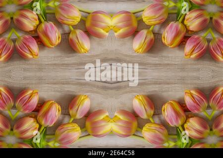 Yellow and red tulip flowers on wooden background. card for valentine's day, birthday, women's day, text space, greeting card, wedding invitation. Fla Stock Photo