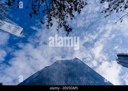 Looking up at the sky with tall glass buildings and trees lining the perimeter Stock Photo
