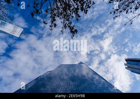 Looking up at the sky with tall glass buildings and trees lining the perimeter Stock Photo