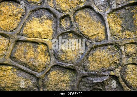 Yellow lichen growing on a grey granite mosaic stone wall Stock Photo