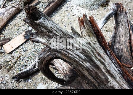 Totem poles in Vancouver's Stanley Park, British Columbia, Canada Stock Photo