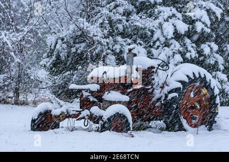Old Case tractor in a field during a snow storm. Stock Photo