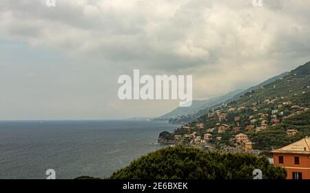 Hill top view of the ligurian coast of Italy between Genoa and Cinque terra. There are houses on the rocky coast covered with maquis and trees on the Stock Photo