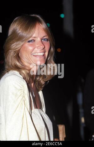 Cheryl Tiegs Credit: Ralph Dominguez/MediaPunch Stock Photo - Alamy