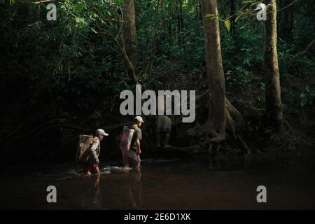 Men crossing a stream as they are carrying an assignment to reach and clean a stream and reservoir utilized as the main water source for traditional community living in the Dayak longhouse of Sungai Utik in Kapuas Hulu regency, West Kalimantan province, Indonesia. Stock Photo