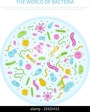 Different colored bacteria in petri glass flat microbiology concept vector illustration Stock Vector