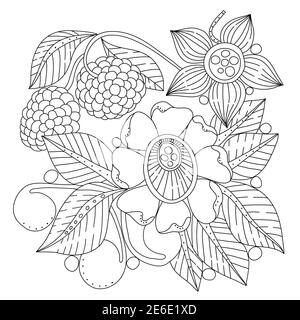 Bouquet of flowers, berries and leaves, coloring book page for adults, hand drawn flopal ornament in black and white. Vector illustration. Zendoodle Stock Vector