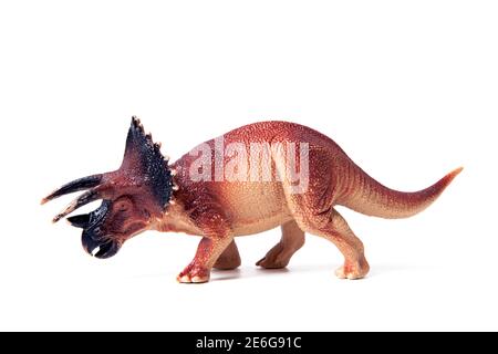 Triceratops dinosaur toy isolated on white background Stock Photo