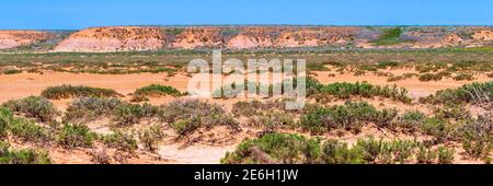 Landscape with dry cracked takir soil in semi-desert in Russia Stock Photo