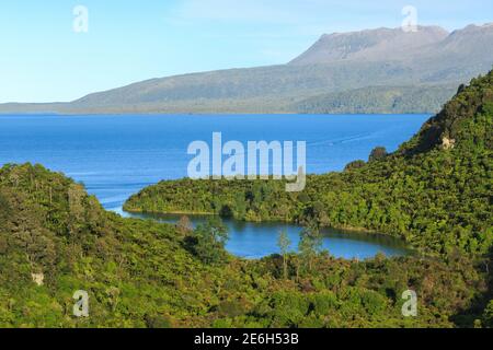 Lake Tarawera, New Zealand, with Kotukutuku Bay, surrounded by native forest, in the foreground. On the horizon is volcanic Mount Tarawera Stock Photo