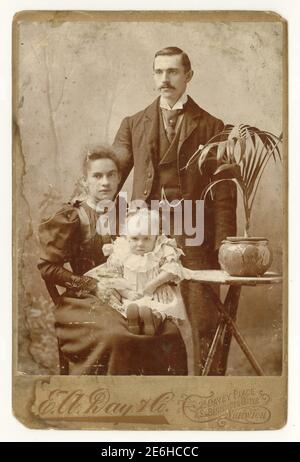 Original antique Victorian Cabinet card studio portrait with typical potted palm / houseplant in a pot. Portrait is of attractive young couple with their baby daughter. Victorian man, Victorian woman Victorian lady. Photo is dated 1895, from the studio of E. A. Day & Co. Norwich, Norfolk, U.K Stock Photo