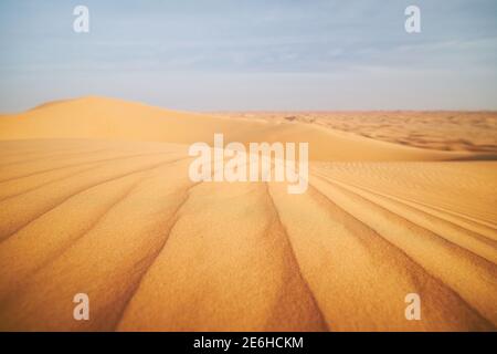 Selective focus on pattern of sand dunes in desert landscape. Abu Dhabi, United Arab Emirates Stock Photo