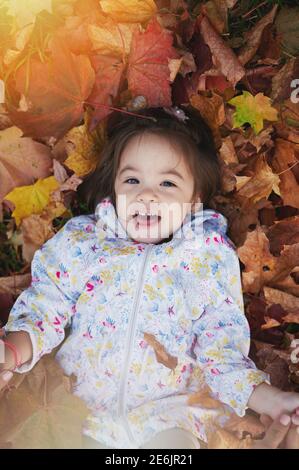 Little girl in orange autumn leaf background above top view Stock Photo