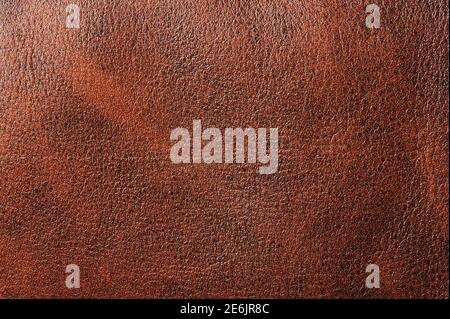 Dark brown leather material surface macro close up view Stock Photo
