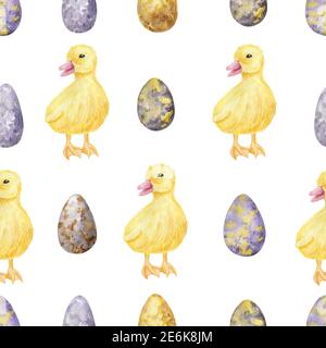 Hand painted duckling and eggs endless background. Stock Photo