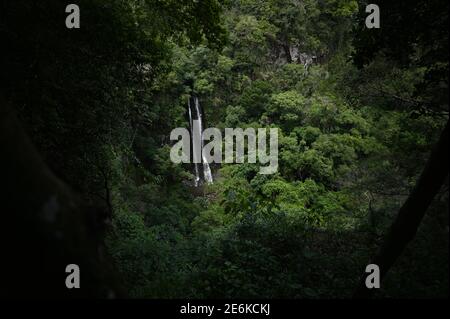 waterfall in the jungle Stock Photo