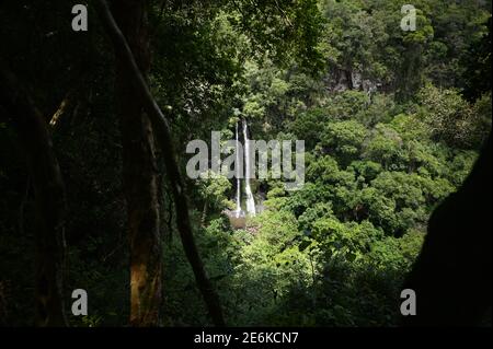 waterfall in the jungle Stock Photo