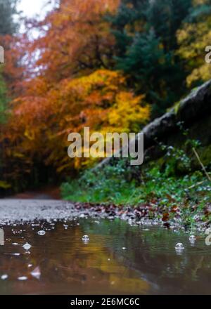 Bright beautiful autumn bubbles in raining water flood with out of focus autumn colours leaves on trees stone wall in October autumnal season reflect Stock Photo