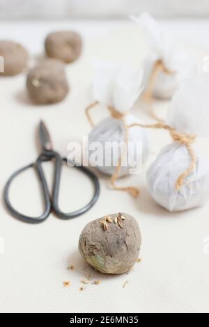 Homemade Seed Bombs Clay Soil Balls Embedded With Flower Seed In Hessian Wraps Intended As A Gift Uk Stock Photo Alamy