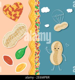 Vector illustration set of various peanuts, charachter, nuts, butter Stock Vector