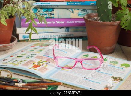 Gardening books. UK. Gardeners glasses on a stack of her gardening books. Stock Photo