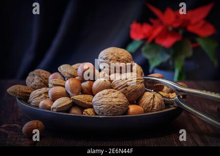 Mixed unshelled nuts and Poinsettia ,seasonal still life Stock Photo