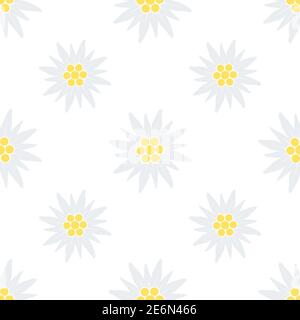 Edelweiss flower seamless pattern. Vector flowers texture illustration isolated on white Stock Vector