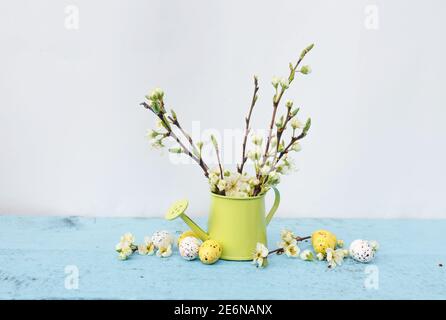 branches of a tree with white flowers in a vase of light green color, colored quail eggs on a light blue background. Spring Easter song. Stock Photo