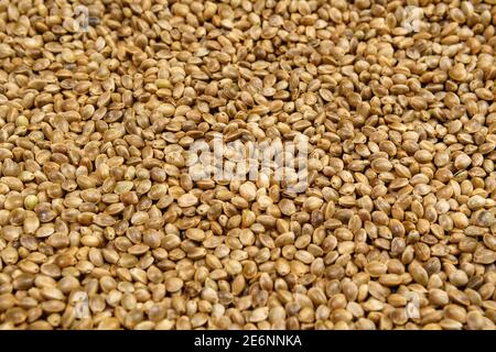 Cannabis seeds. Organic Hemp seed. texture. Hemp seeds background Stock Photo