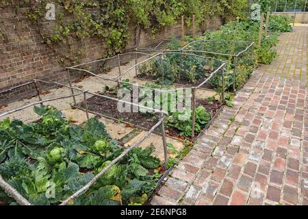 Vegetable plots divided into squares and protected by a framework of branches and netting Stock Photo