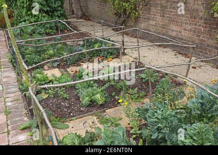 Vegetable plots divided into squares and protected by a framework of branches and netting Stock Photo