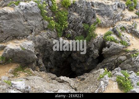 Closeup shot of a hole in the rocky ground with grass and greenery Stock Photo