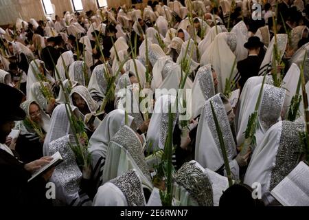 An Ultra Religious Jewish Man Holding A Torah And Reading The Megillah ...