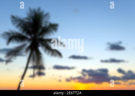 Blurred palm tree landscape at sunset with copy space, Costa Rica. Stock Photo