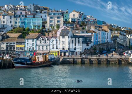 A trawler sits against the harbour wall as repairs are carried out at Brixham on the south coast of England. Stock Photo