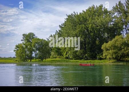 Canada, province of Quebec, Montreal, Iles-de-Boucherville national park, the St. Lawrence river, canoeing and kayaking Stock Photo