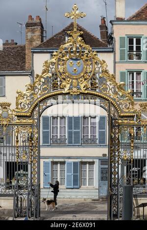 France, Aube, Troyes, Hotel Dieu le Comte, entrance gate Stock Photo