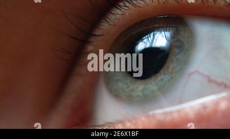 Close-up of green human eye. Stock Photo