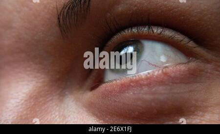 The green human eye up close. Stock Photo