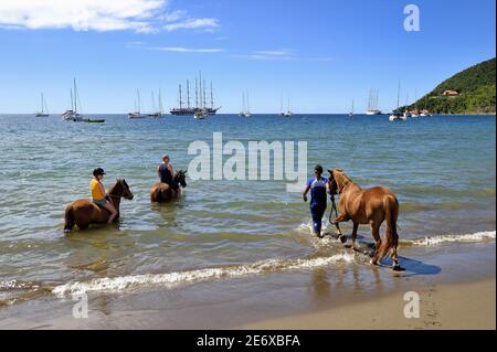 Caribbean, Dominica Island, Portsmouth, Prince Rupert Bay, horseback riding on the beach with a passage in the Caribbean Sea Stock Photo