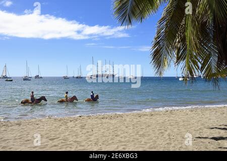 Caribbean, Dominica Island, Portsmouth, Prince Rupert Bay, horseback riding on the beach with a passage in the Caribbean Sea Stock Photo
