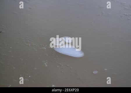 Foot / Paw Shape On Frozen Lake At Primrose Valley On A Winters Day - Air Bubbles Under Ice On Frozen Lake - Ice Covered Lake - Yorkshire UK Stock Photo