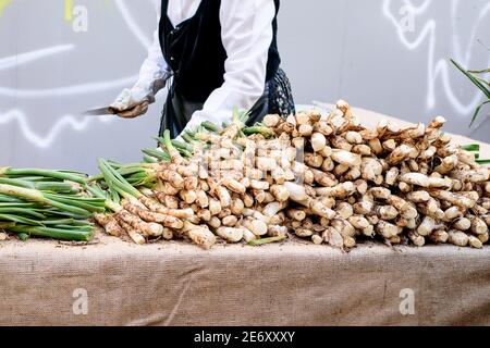 Woman who cleans spring onion for grill and cook. Traditional holiday of spring onion in Spain. Stock Photo